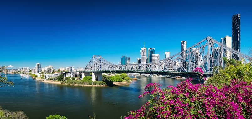 Story Bridge and the Brisbane skyline with bougainvillea