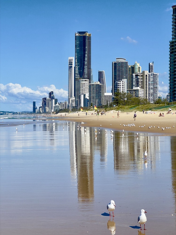 Seagulls on the Surfers Paradise sand